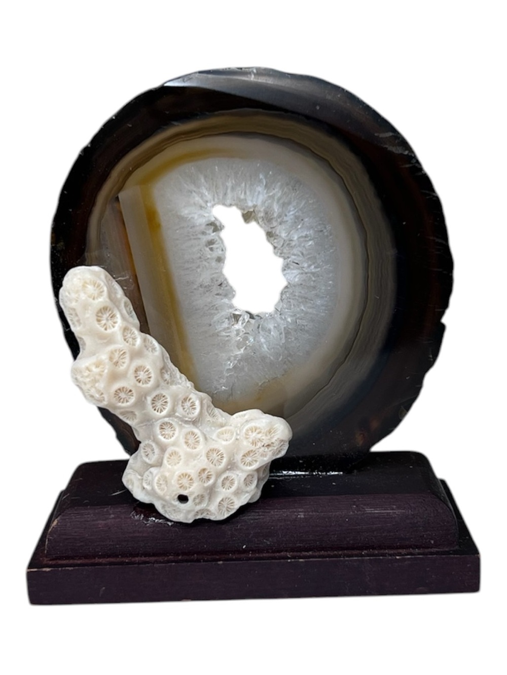 Natural Agate Geode Desk Sculpture with White Coral Accent